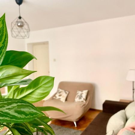 Star Apartment 2 Beograd Bagian luar foto