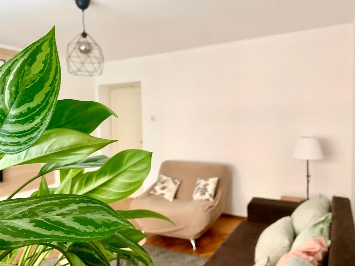 Star Apartment 2 Beograd Bagian luar foto